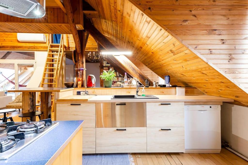 ברטיסלאבה Rooftop 180M2 Loft With Private Sauna, מראה חיצוני תמונה