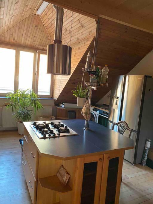 ברטיסלאבה Rooftop 180M2 Loft With Private Sauna, מראה חיצוני תמונה