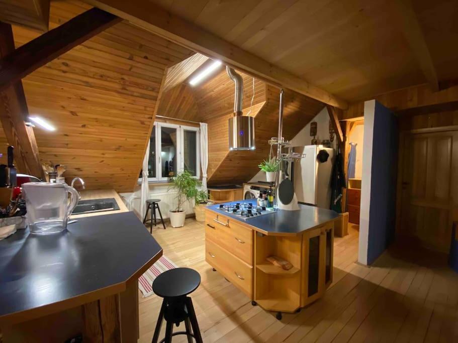 ברטיסלאבה Rooftop 180M2 Loft With Private Sauna, מראה חיצוני תמונה